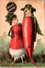 Rice's Seeds Anthropomorphic Radishes Vegetable People Radish Charley HPV1