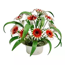 1960's Italian Tole Potted Red Daisy Flower Plant 10ʺW × 6ʺH