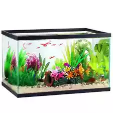 Aqua Culture 10 Gallon Transparent Glass Tank 20"×10"×12.2" for Aquatic pets