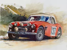 Austin Healey 3000 Classic 1960s British Sports Racing Car Original Ian McGowan