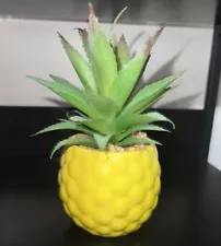 Pineapple Plant