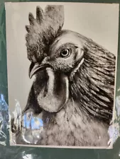 Charcoal Print Of Rooster 2000's black and white, artist card included