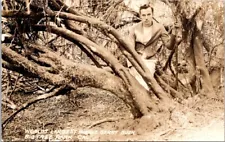 RPPC Big Tree Park CA Man Sitting Worlds Largest Huckleberry Bush postcard NQ11