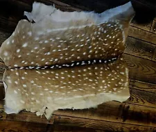 Fawn/Deer Hide With Fur On