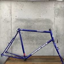 Vintage Diamond Back Ascent Frame Set 23" Tall 90s Cafe Cruiser MTB 26 CRMO 130