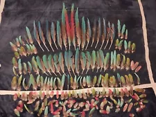 Green Wing Macaw Feathers