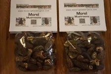 4oz Dried Morel Mushrooms Premium Quality Pacific Northwest Harvested Inside USA