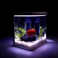 2 Gallon Betta Fish Tank, Small Fish Tank with Filter and Light