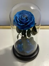 Forever Rose Flower Preserved Real Rose in Glass Dome Gift Creative Eternal Blue