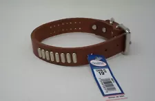 #1260B BULLY LEATHER COLLAR W/STUDS 19 INCHES / FREE BRASS NAMEPLATE