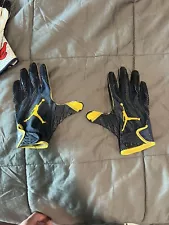 College Football Gloves Michigan Size Large