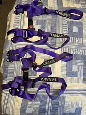 Takata 4 Point Bolt-On 2" Racing Seat Belt Harness Purple Used