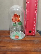 Beauty and The Beast Dream of Flowers Single Silk Rose Glass Dome