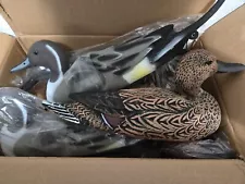 Dakota Decoys Pintail Duck Inflatable Decoy ( 6 Pack) for hunting