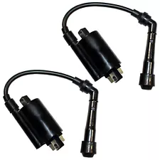 Set of 2 Ignition Coils for Kawasaki EX500 Ninja 500 500R 1987-2009 (For: Kawasaki Ninja 500R)