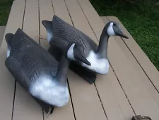 Flambeau Canadian Geese Hunting Decoys 24 inch