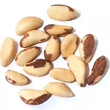 brazil nuts for sale