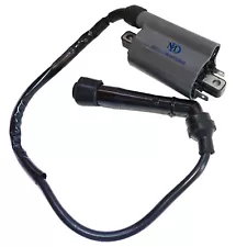 IGNITION COIL FOR HONDA REFLEX 250 NSS250 NSS250A 2001-2007 (For: Honda)