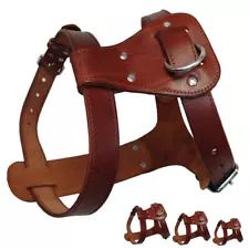 Leather Dog Harness and Leash Genuine Leather For Large Dogs Pitbull Bulldog M/L