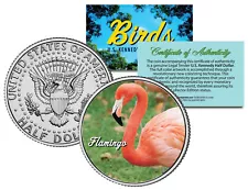 FLAMINGO BIRD JFK Kennedy Half Dollar US Colorized Coin