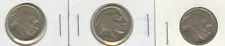 buffalo nickel for sale