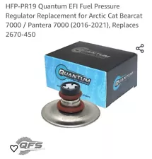 HFP-PR19 Quantum EFI Fuel Pressure Regulator Replace For Arctic Cat Bearcat 7000