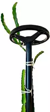 DRAGON TOWER 12 Inch Dragon Fruit Trellis Plant Support