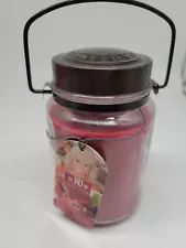 Paula Deen RARE Candle 21 ounce Raspberry Sorbet NEW