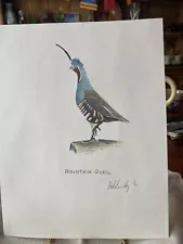 Mountain quail print - 8.5x11