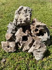 20-25 Pounds Texas Holey Rock for Aquariums - Natural Stone for Cichlid Tanks