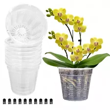 8 Pack Clear Plastic Orchid Pots with Holes for Outdoor Indoor Use