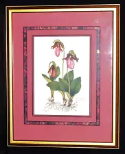 Sharon Morris Kincheloe Pink Lady's Slipper Hand Colored Etching Signed #210/285