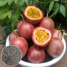 40Pcs / Purple Passion fruit Seeds(Passiflora edulis)Vine passion flower-seeds