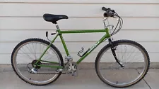 Diamondback Ascent EX Mountain Bike