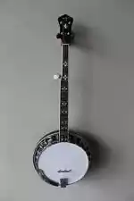 New ListingBrand New Recording King RK-R20 Songster Resonator 5 String Banjo with Gig Bag