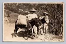 Arriero Boys w Mules RPPC Antique Hugo Brehme Ethnographic Photo Postcard 1934