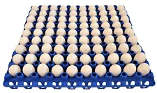 6 RITE FARM PRODUCTS 90 EGG PLASTIC TRAYS FOR QUAIL PIGEON DOVE BIRD FLAT CARTON