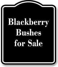 Blackberry Bushes for Sale Aluminum Composite Sign