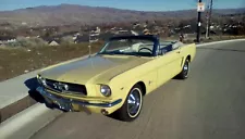 1964 1/2 Convertible Ford Mustang, yellow exterior, cream interior 289 V8 3 spd