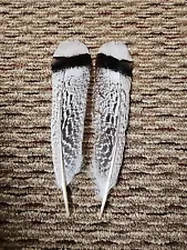 P40 Pair Royal Palm Turkey Tail Feather