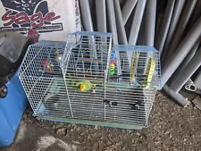 bird cage large parakeet