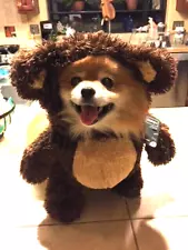 BROWN TEDDY BEAR Illusion PET DOG HALLOWEEN COSTUME Bootique Brand Size M