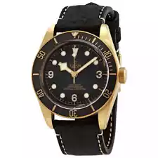 Tudor Black Bay Bronze Automatic Men's Watch M79250BA-0001