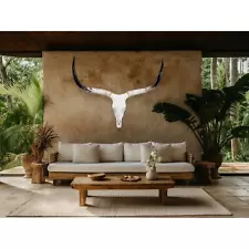 Longhorn skull| Real Steer | Western Boho Home Decor 623