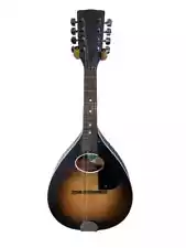 Kay/Harmony Mandolin 60's?