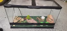 Terrarium WITH ACCESSORIES Reptile Habitat