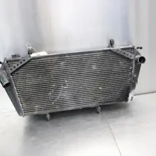 11-14 APRILIA DORSODURO 1200 Engine Radiator (For: Aprilia Dorsoduro 1200)