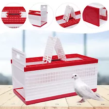 Racing Pigeon Carrier Box Poultry Pet Supply Cage w/ 2 Side Doors + 2 Top Doors