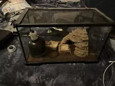 reptile tank kit