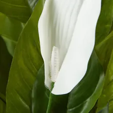 Large and Artificial White Spathiphyllum and Peace Lily Bush